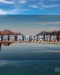 黑料资源 赛道 分类导航 复盘