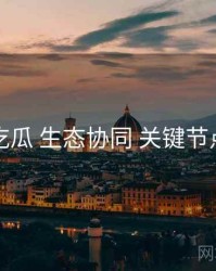 吃瓜 生态协同 关键节点