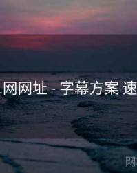 51网网址 - 字幕方案 速览