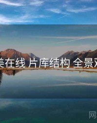 欧美在线 片库结构 全景观察