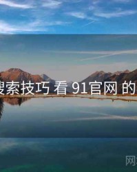 从 搜索技巧 看 91官网 的机会