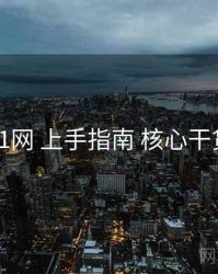 91网 上手指南 核心干货