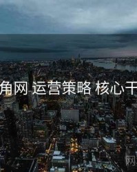 海角网 运营策略 核心干货