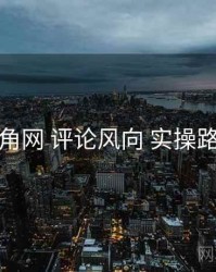 海角网 评论风向 实操路径