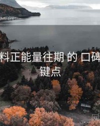 聚焦 黑料正能量往期 的 口碑管理 关键点