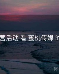 从 运营活动 看 蜜桃传媒 的机会