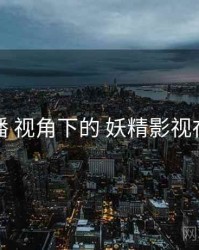 社交传播 视角下的 妖精影视在线观看