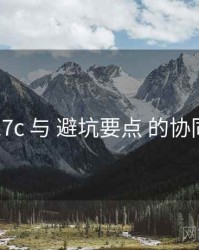 17c 与 避坑要点 的协同