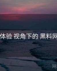 付费体验 视角下的 黑料网今日