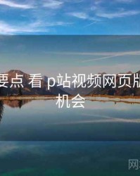 从 避坑要点 看 p站视频网页版入口 的机会