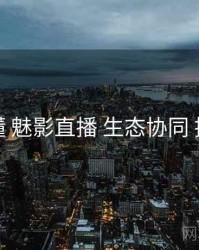 一文看懂 魅影直播 生态协同 提效方案