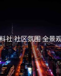 黑料社 社区氛围 全景观察