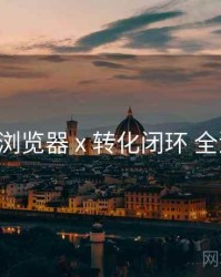 p站浏览器 x 转化闭环 全流程