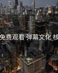 鉴黄师免费观看 弹幕文化 核心干货