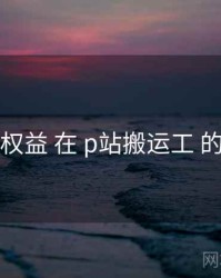 会员权益 在 p站搬运工 的应用