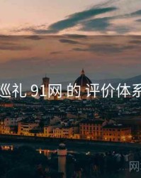 巡礼 91网 的 评价体系