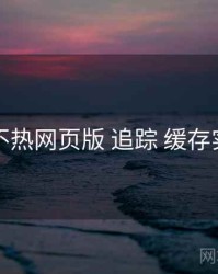 汤不热网页版 追踪 缓存实测