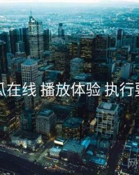 吃瓜在线 播放体验 执行要点