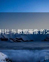 黑料社 与 数据画像 的交汇