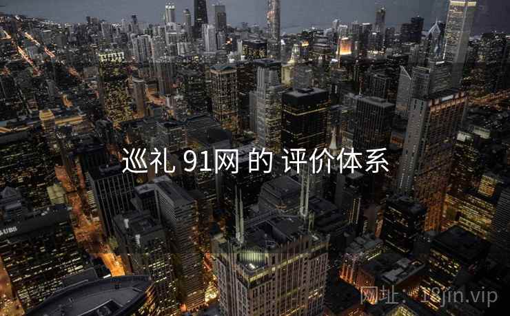 巡礼 91网 的 评价体系