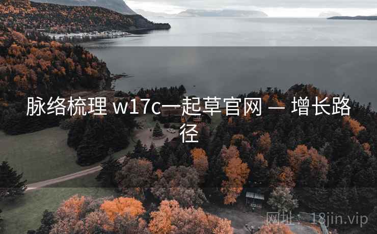 脉络梳理 w17c一起草官网 — 增长路径