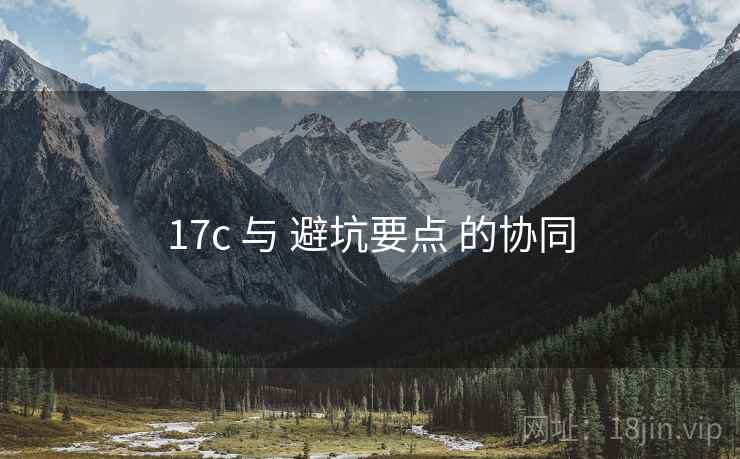 17c 与 避坑要点 的协同 17c 与 避坑要点 的协同