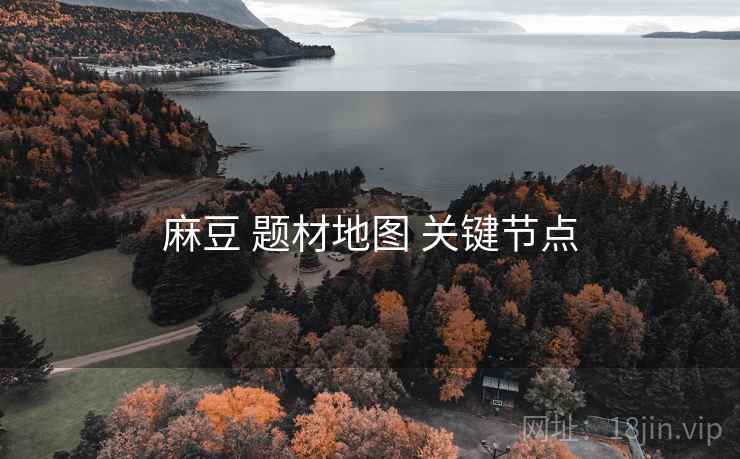 麻豆 题材地图 关键节点