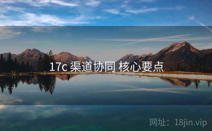 17c 渠道协同 核心要点 17c 渠道协同 核心要点